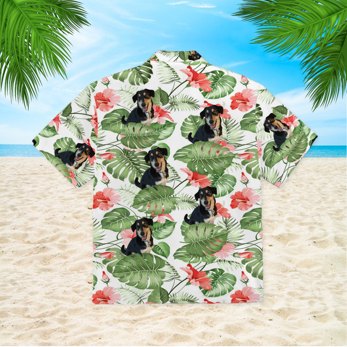 111-2672987-3153850-62117860356938-0