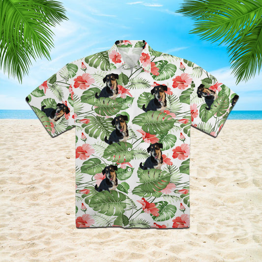 111-2672987-3153850-62117860356938-0