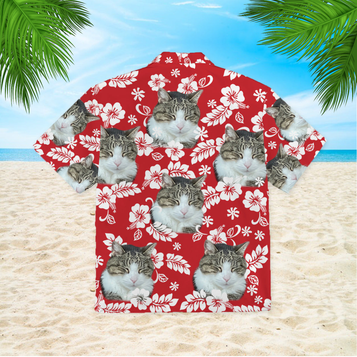 111-2487584-6227417-18393045302634-0