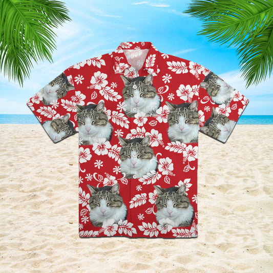 111-2487584-6227417-18393045302634-0