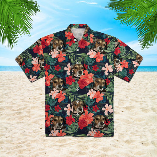 111-0112869-4712264-23727028801082-0