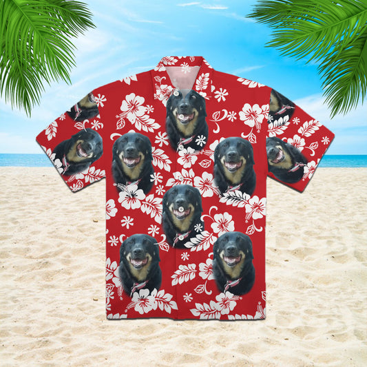 LP1103287-4424021180555-11347816579211-Hawaii Shirt-Colorful-XL