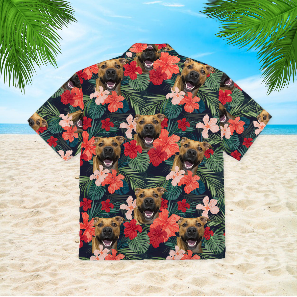 111-2165781-4142600-61613670209010-0