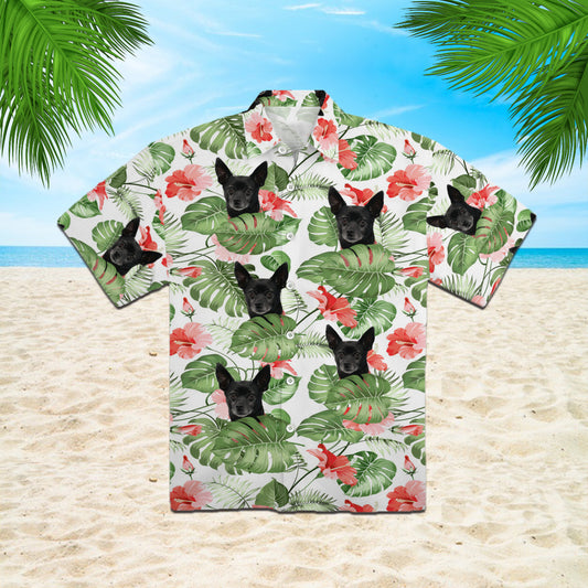 111-1692807-0545011-69611832882394-0