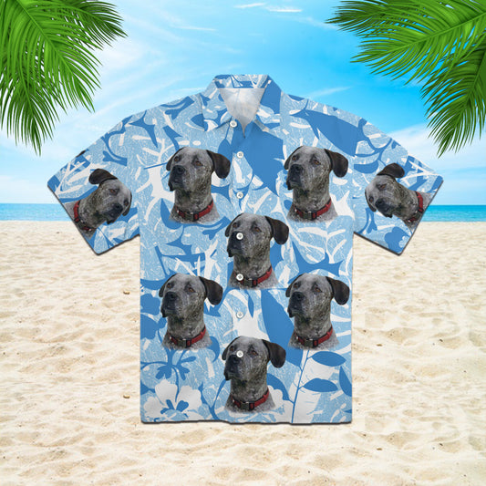 LP1103450-4428403277963-11358130405515-Hawaii Shirt-Colorful-L