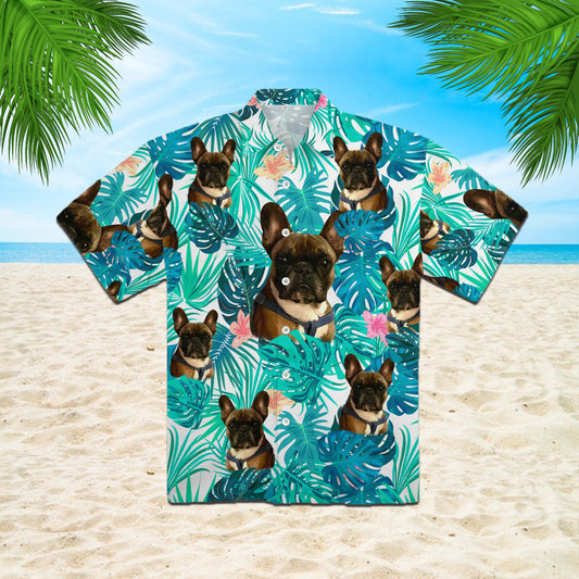 LP1102651-4412947529867-11322075218059-TYPE-COLOR-3XL