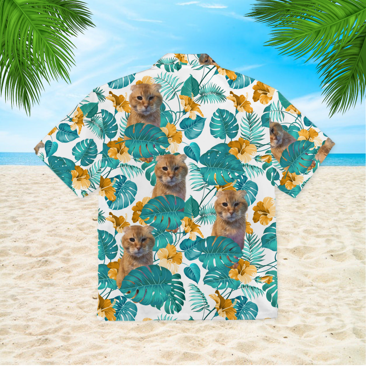 111-0106910-5816273-43099336062666-0