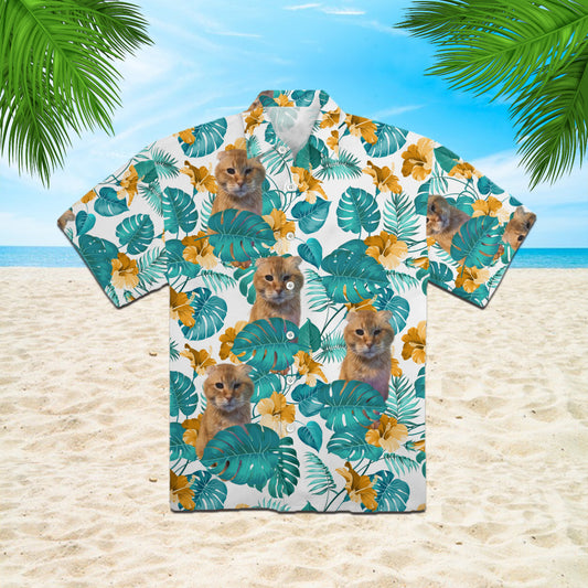 111-0106910-5816273-43099336062666-0