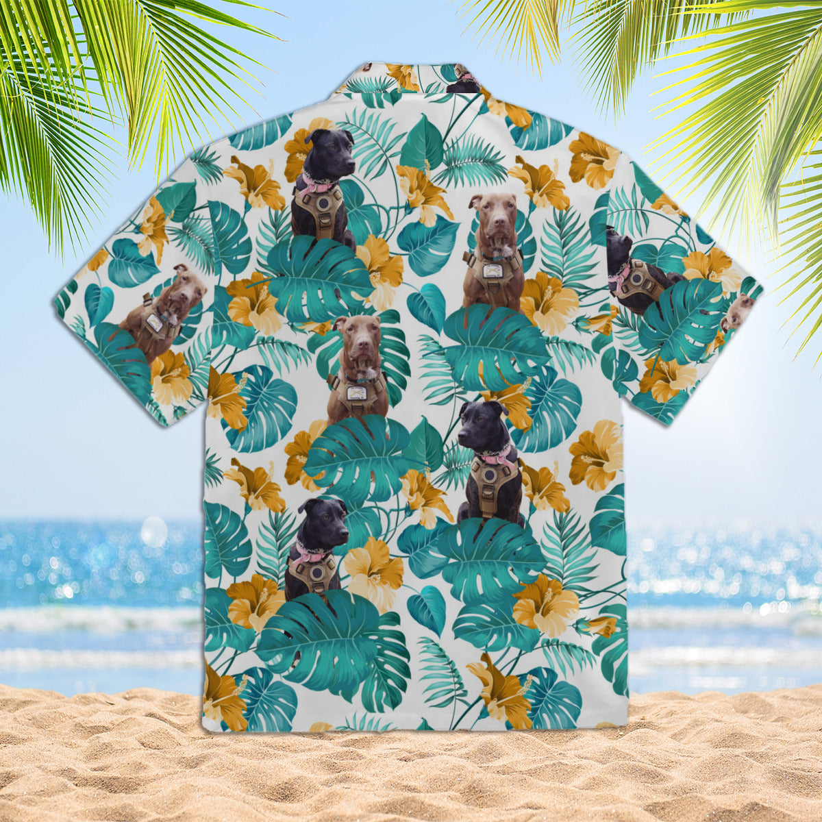 111-2409797-7187442-11371000035234-0