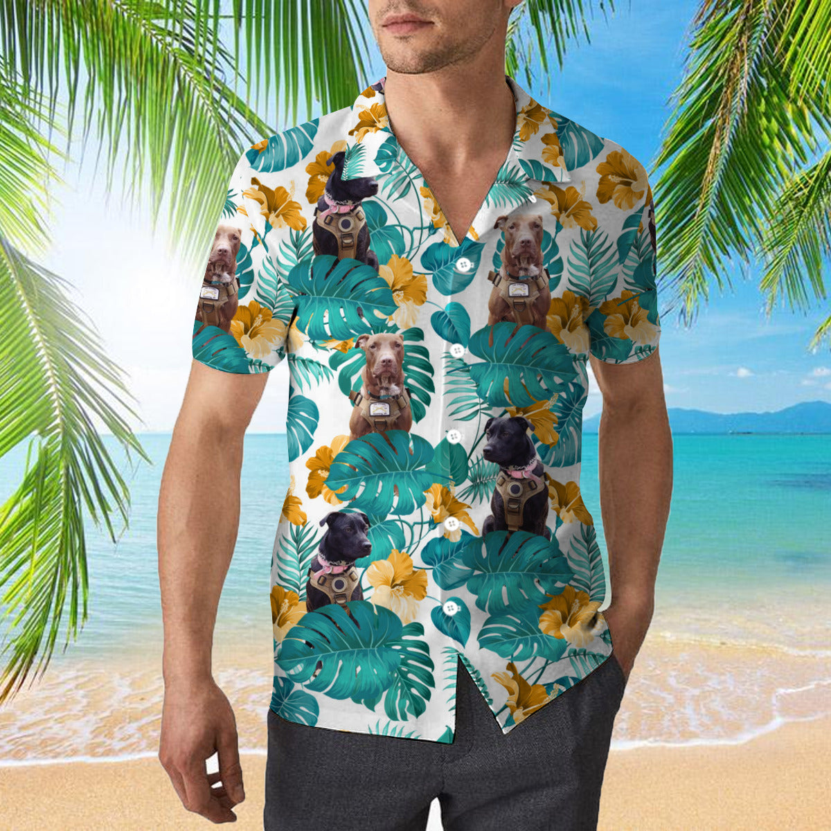 111-2409797-7187442-11371000035234-0