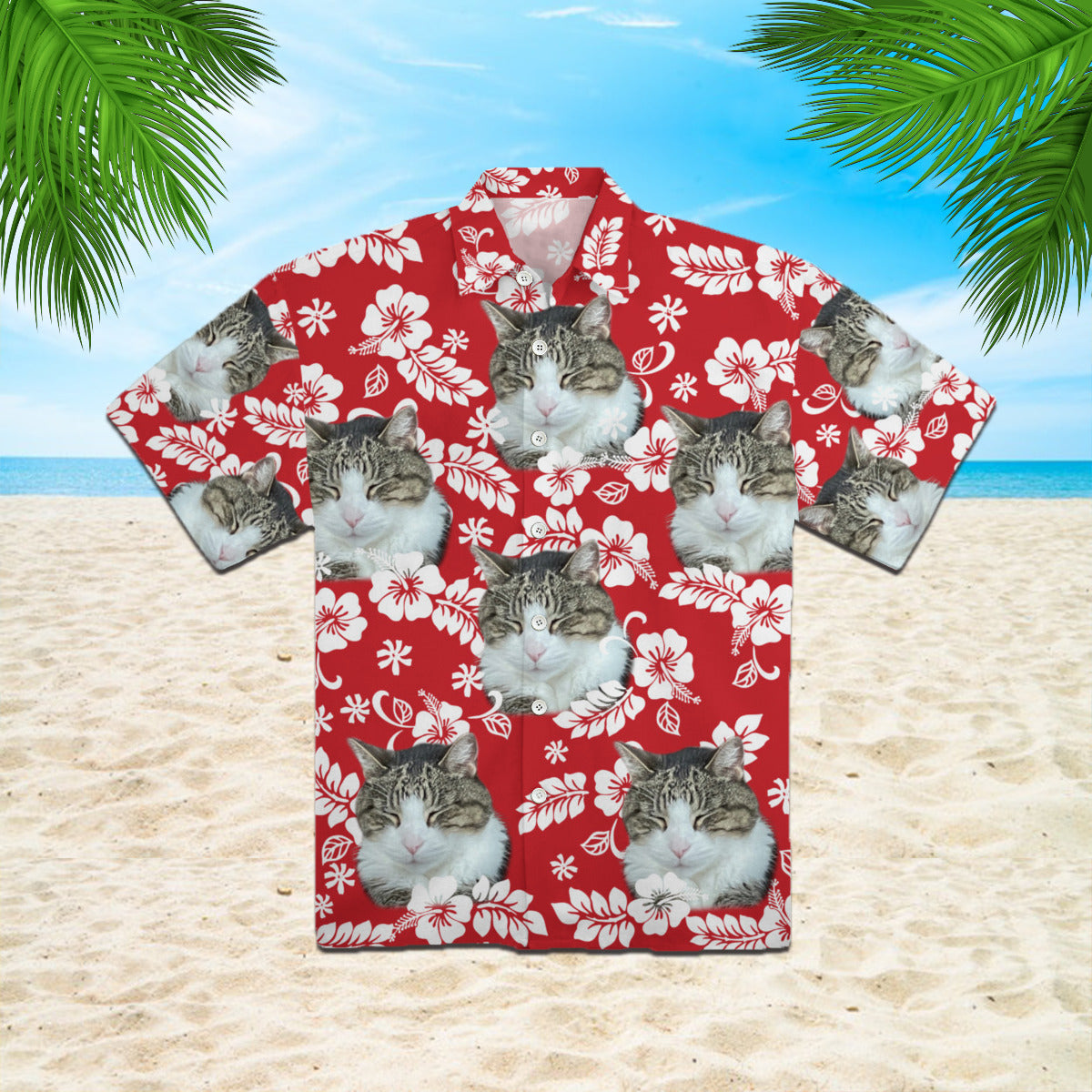 111-2487584-6227417-18393045302634-0