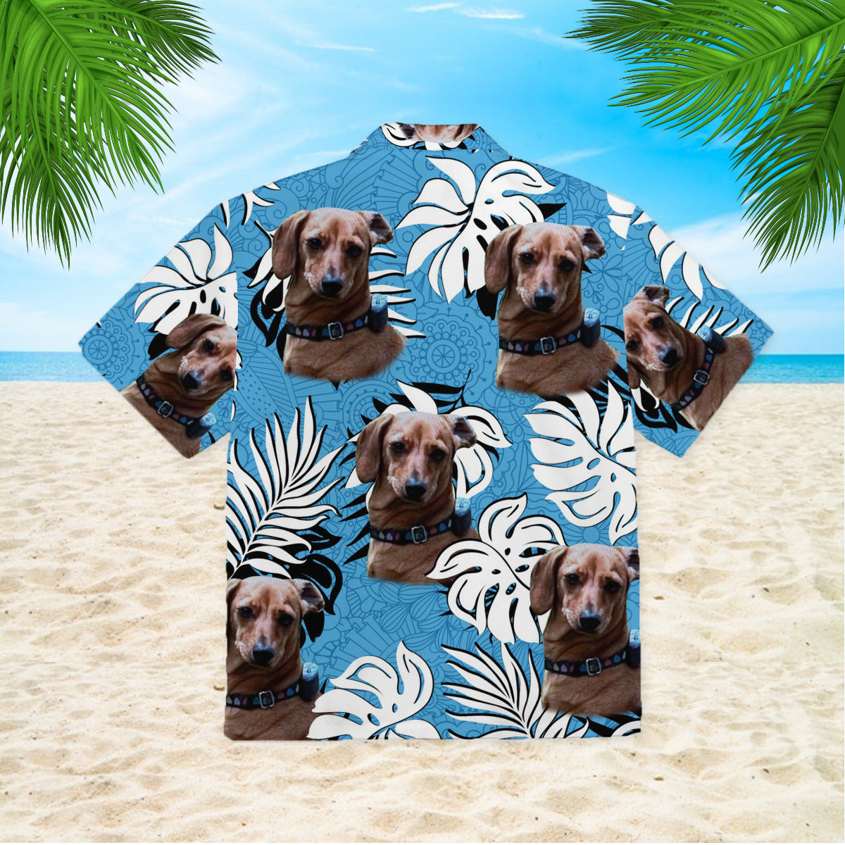 111-2732949-3705846-00237522615506-0