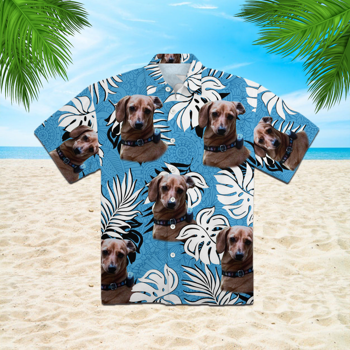 111-2732949-3705846-00237522615506-0