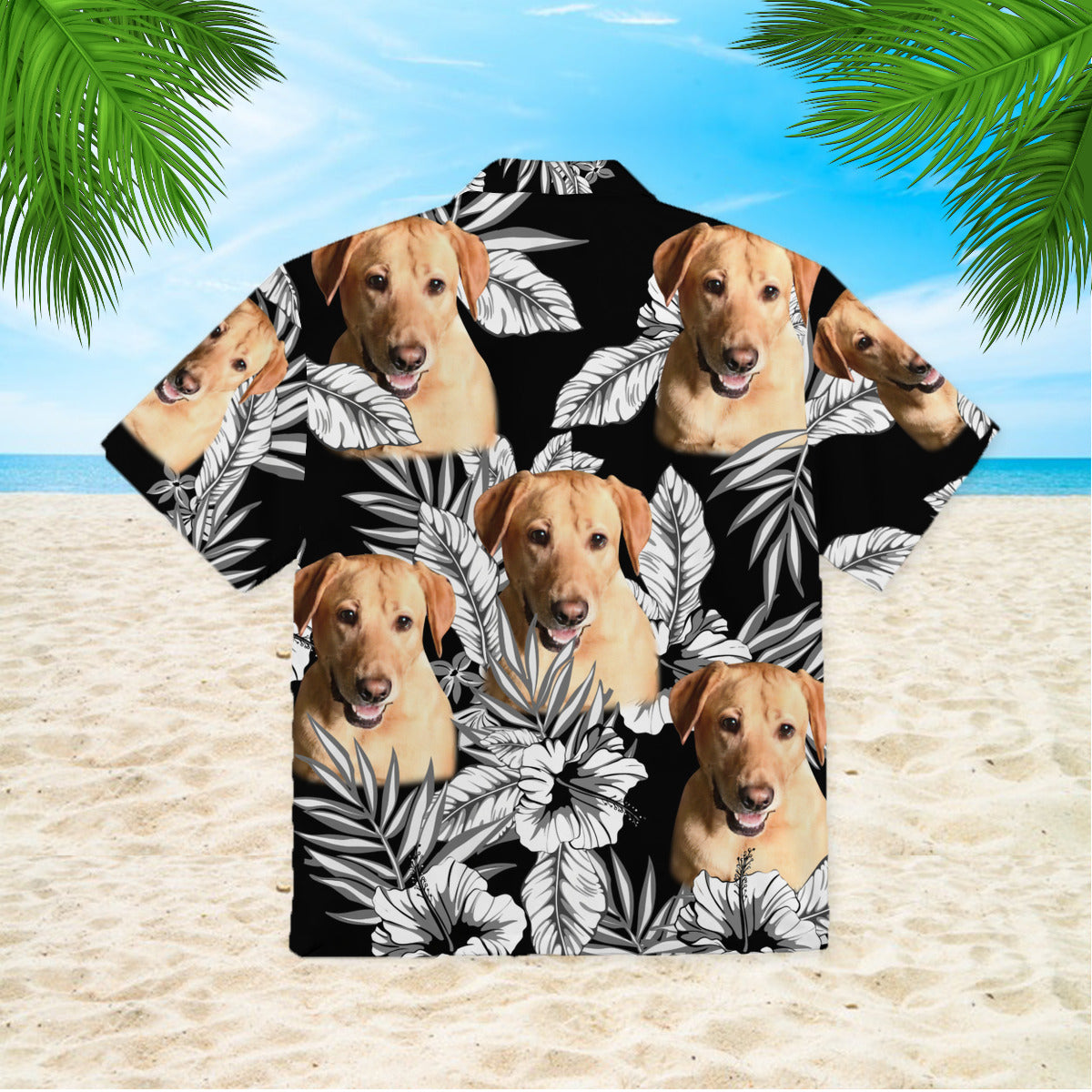 111-2521725-4879409-56263431625818-0