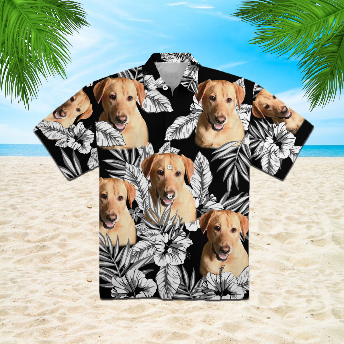 111-2521725-4879409-56263431625818-0