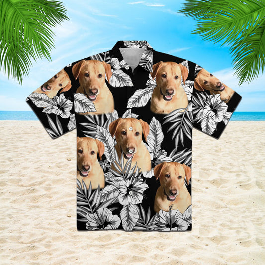 111-2521725-4879409-56263431625818-0